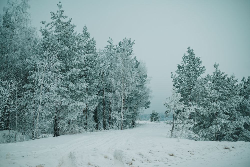 Photograph by Екатерина Пугач