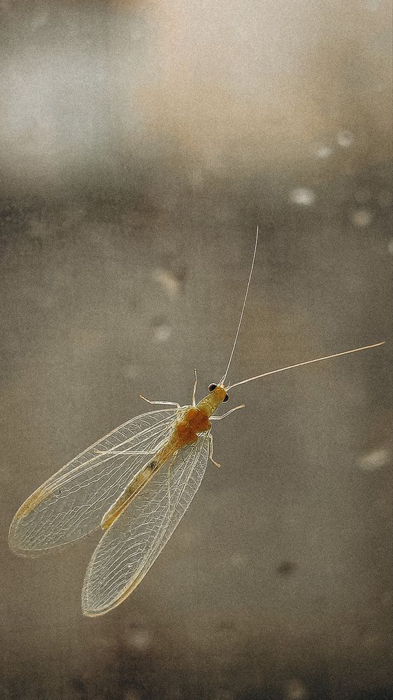 Photograph by Maria Stankevich