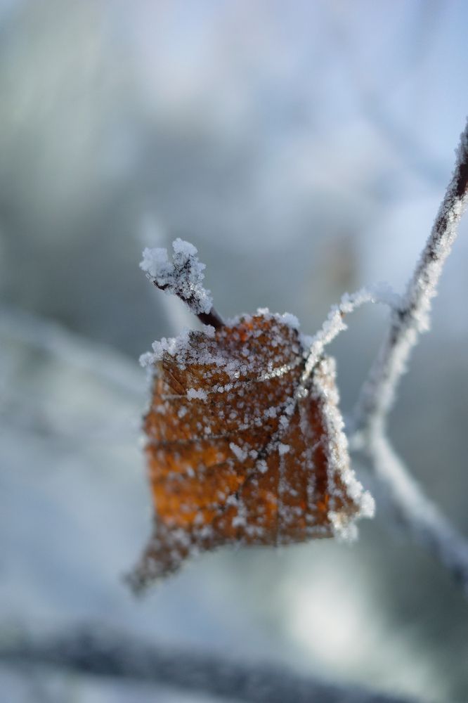 Photograph by Алла Никушкина