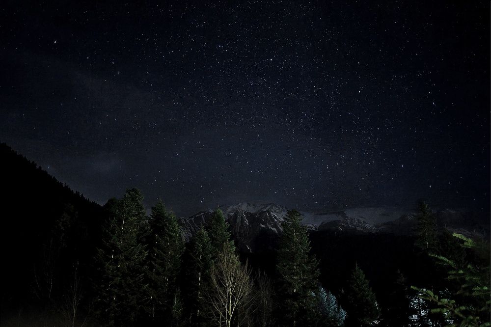 Photograph by Анастасия Жарникова