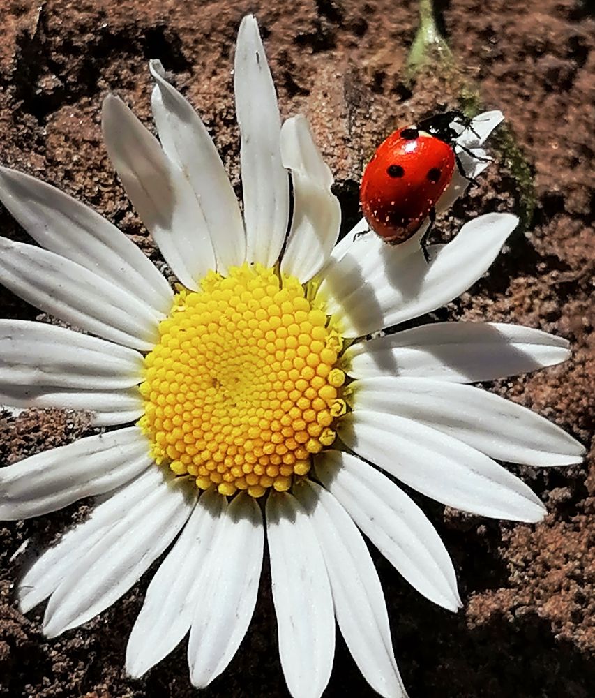 Photograph by Татьяна Бешенкина