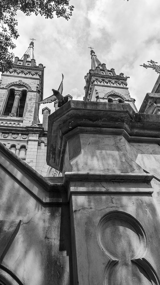 Photograph by Никита Нечаев