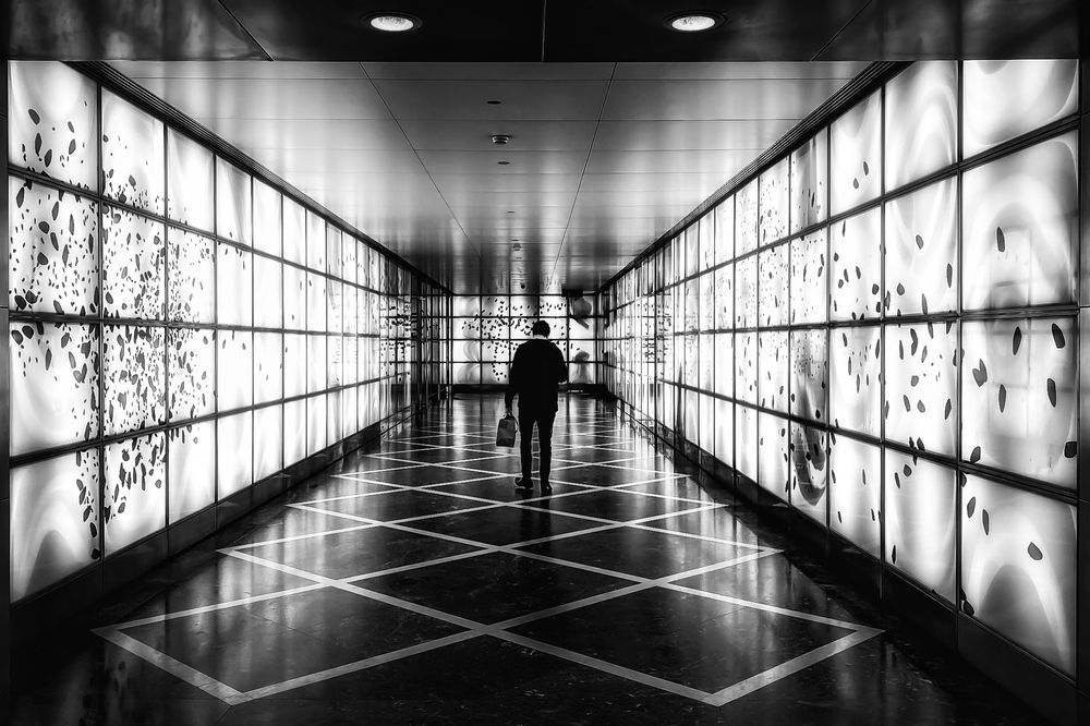 Photograph by Anya Lo