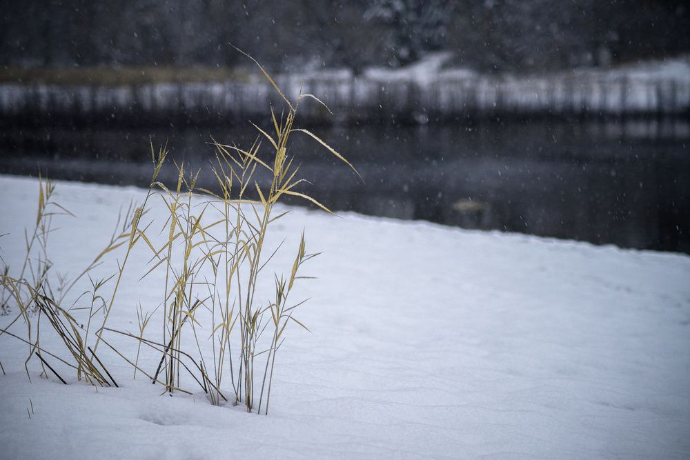 Фотография автора Валерий Лушин