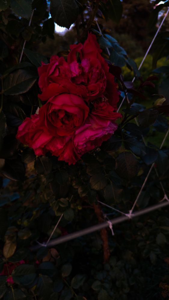 Photograph by Никита Нечаев