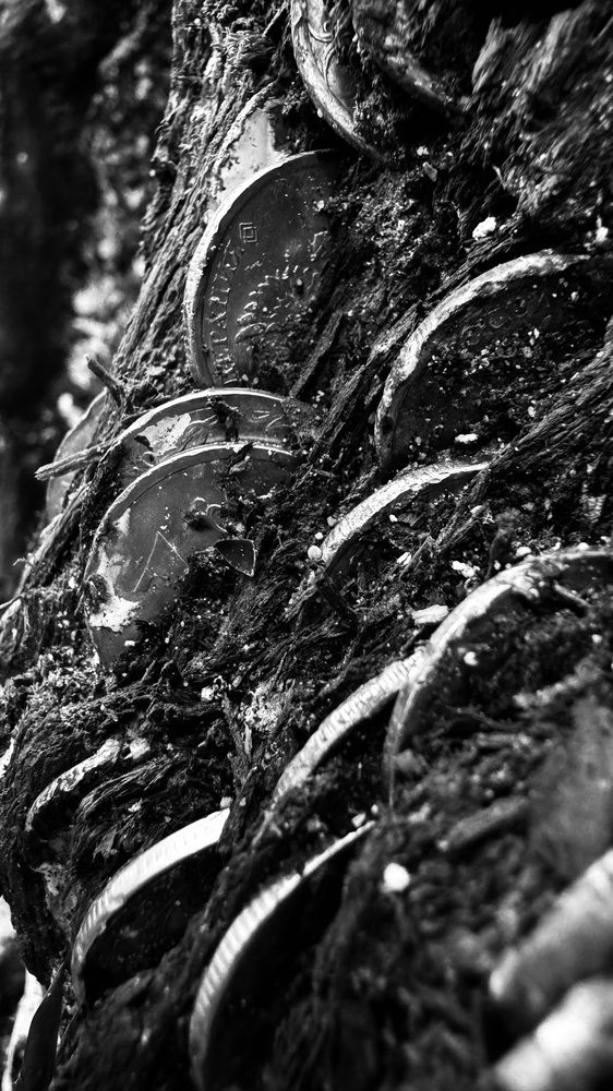 Photograph by Анастасия Жарникова