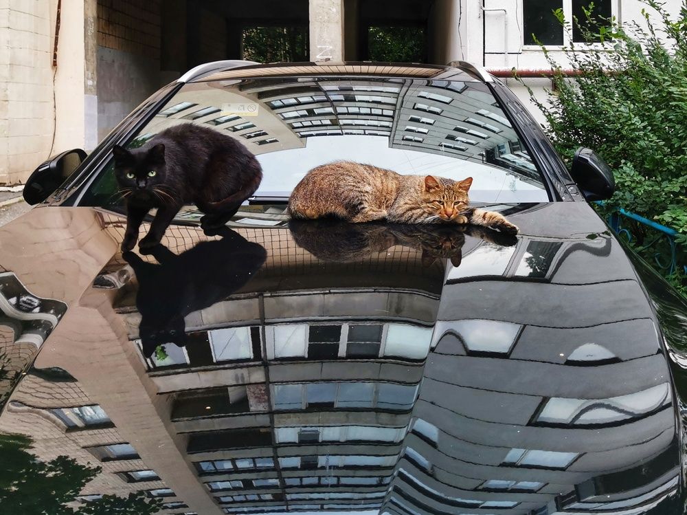 Photograph by Дьяченко Алёна