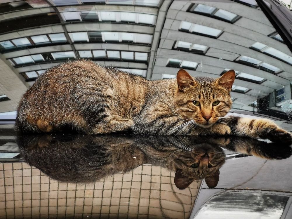 Photograph by Дьяченко Алёна