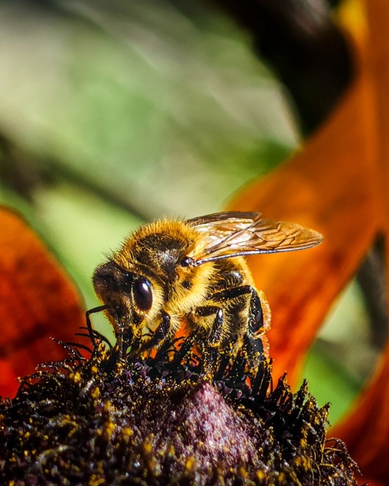 Photograph by Татьяна Соколовская