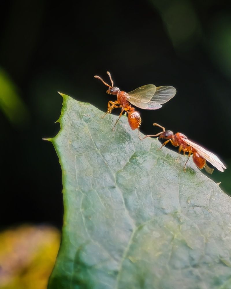Photograph by Татьяна Соколовская