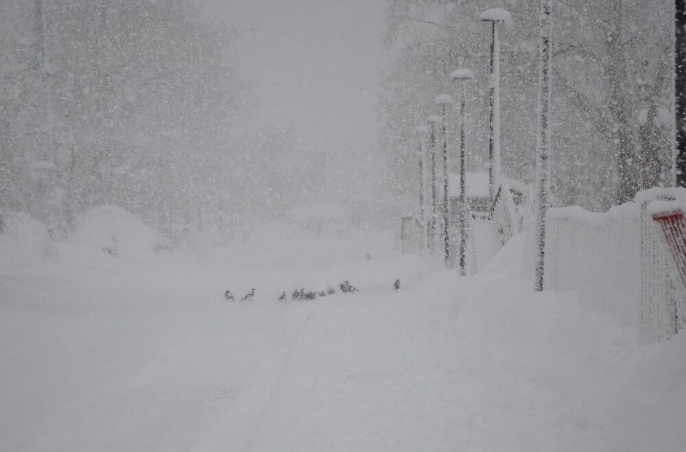 Производственное собрание