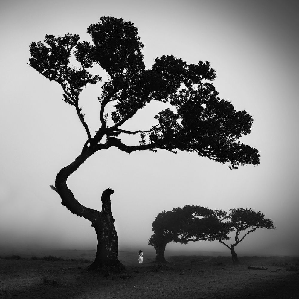 Photograph by Milan Uhrin