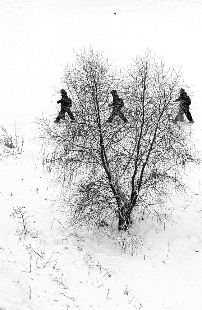 Photograph by Екатерина Степанова