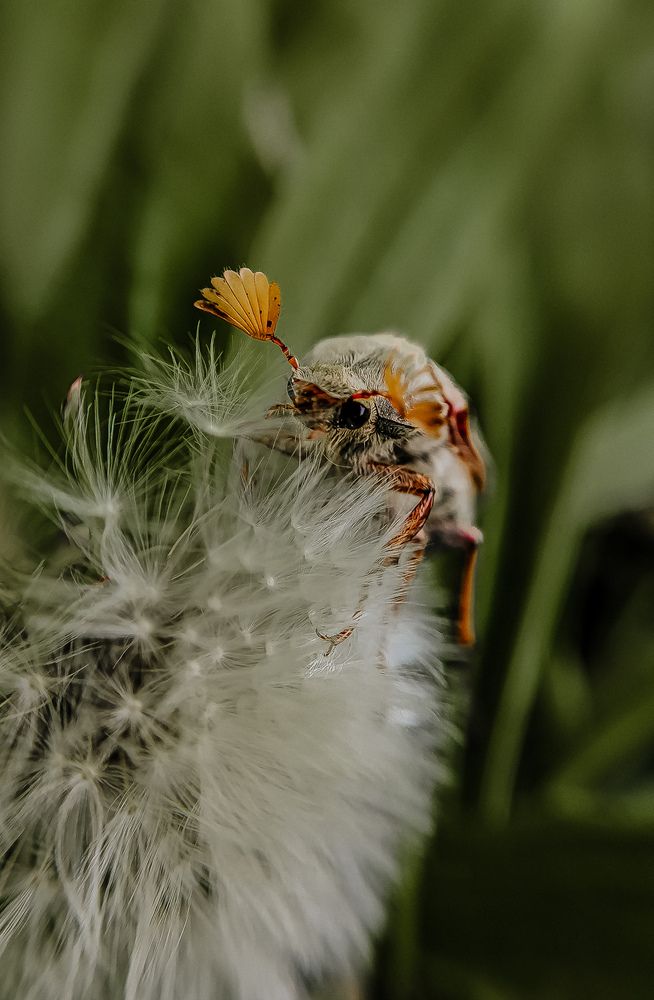 Фотография автора Юлия