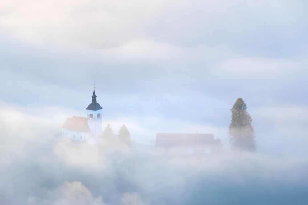 Фотография автора Daniel Knezevic