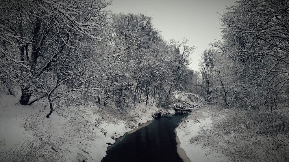 Фотография автора YURY RAMITSAN