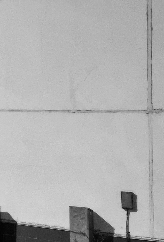 Фотография автора Светлана Алексеева