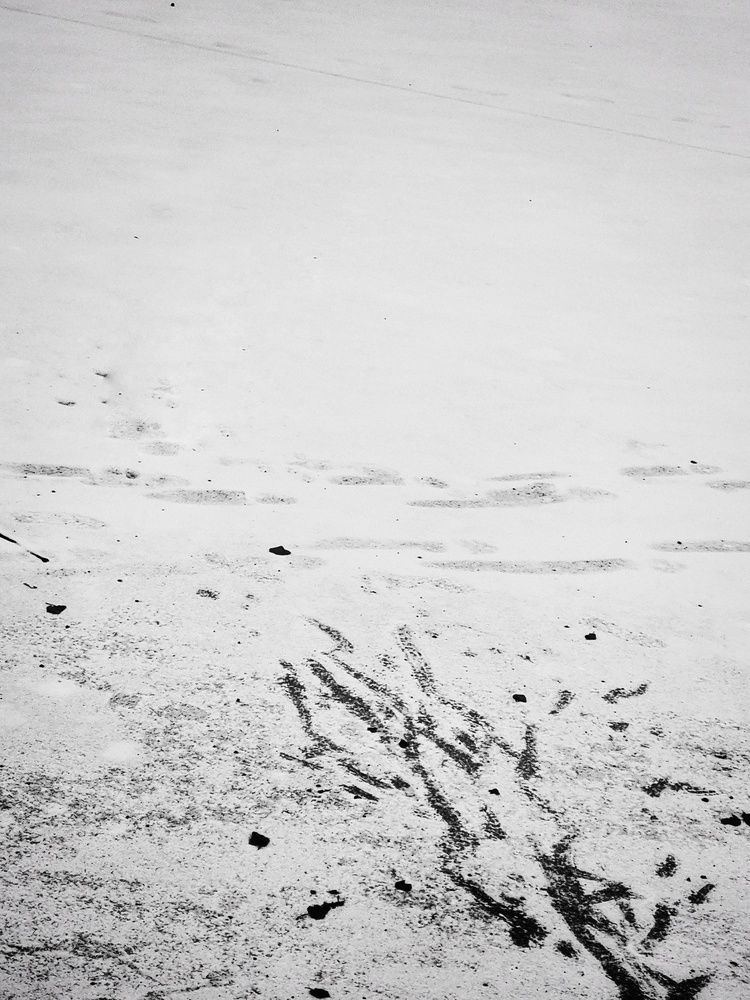 Фотография автора Светлана Алексеева