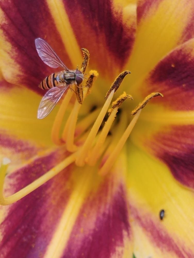 Photograph by Ия Дирко