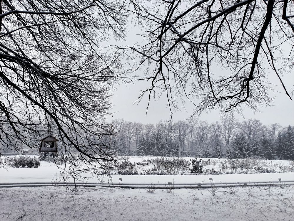 Photo #11883639