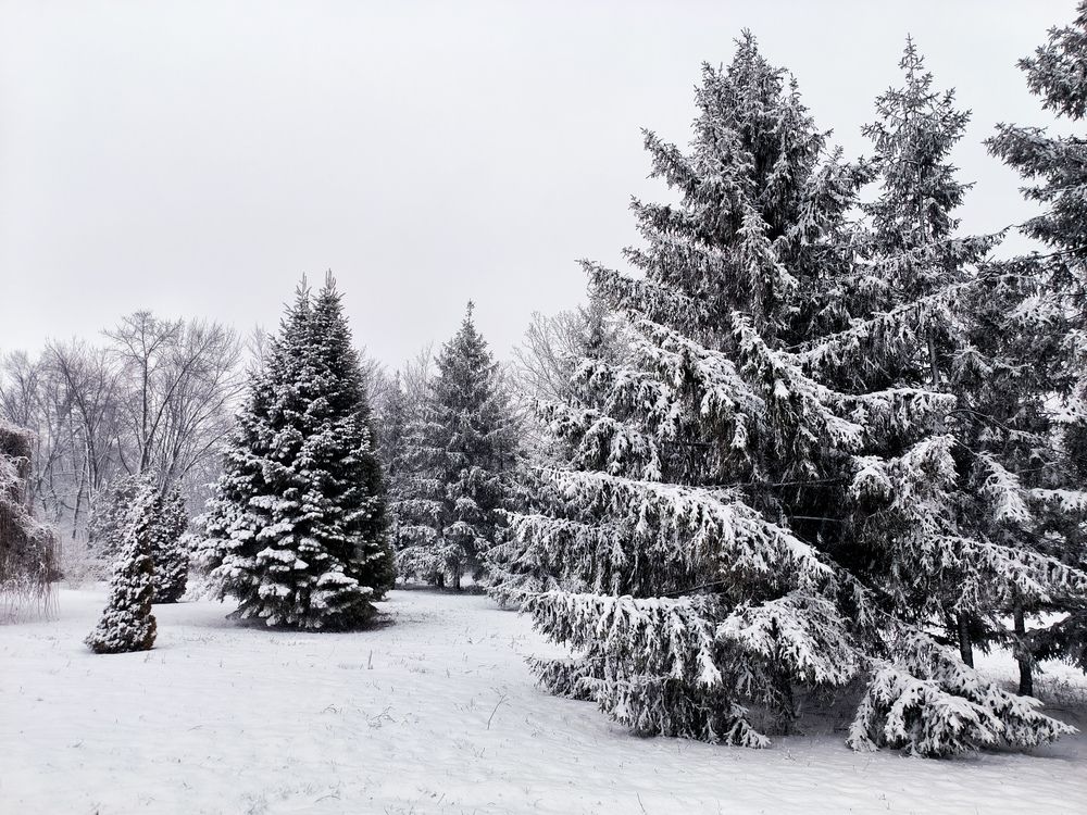 Photograph by Екатерина Алексеевна
