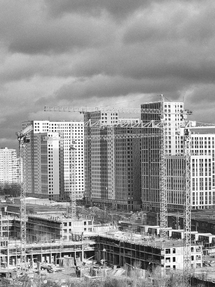 Фотография автора Светлана Алексеева