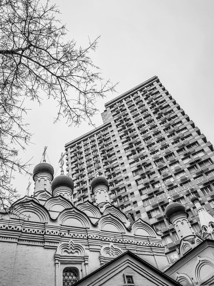 Фотография автора Светлана Алексеева