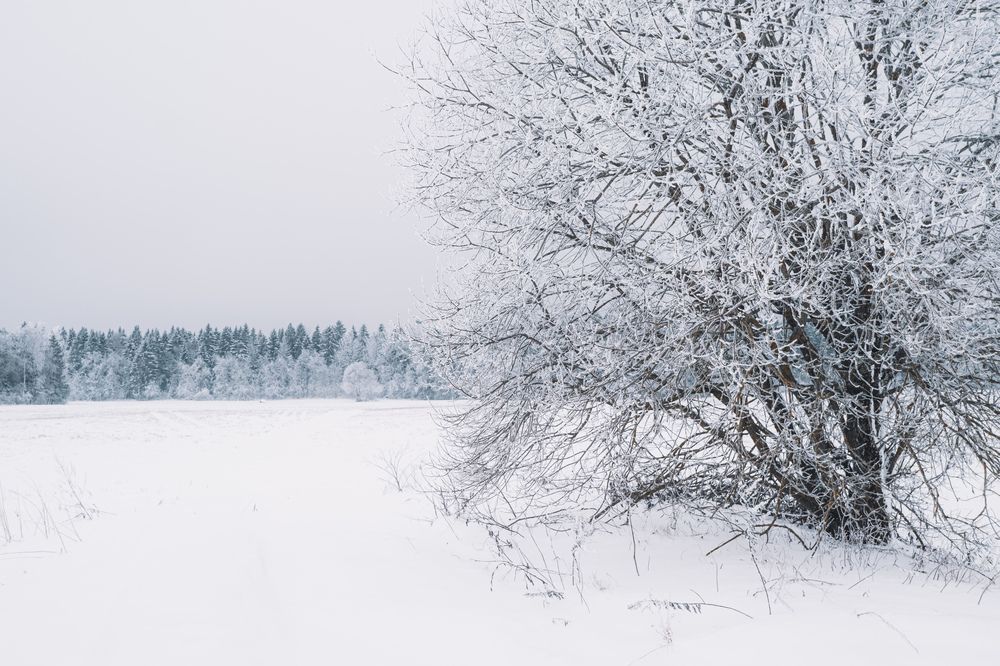 Photograph by Харламов Павел