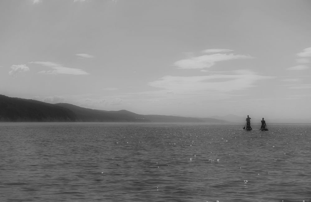 Photograph by Михаил Косолапов