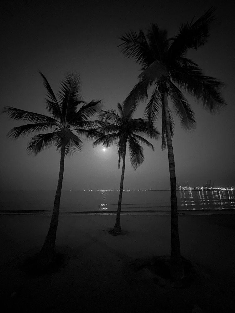 Photograph by Sergei Komlev