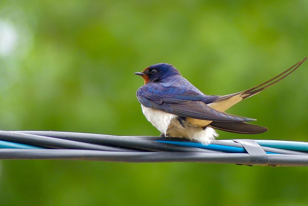 Photograph by Ян Адамсон