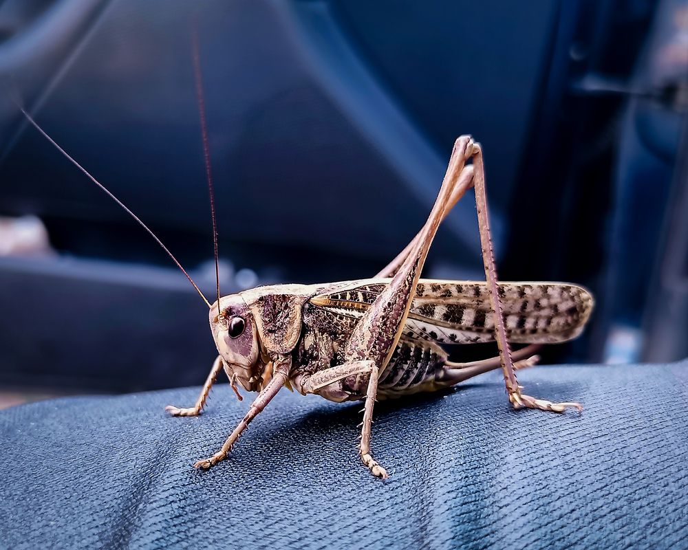 Фотография автора Карина Шарова