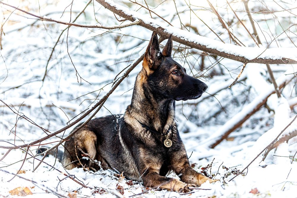 Photograph by Марина Соловьева