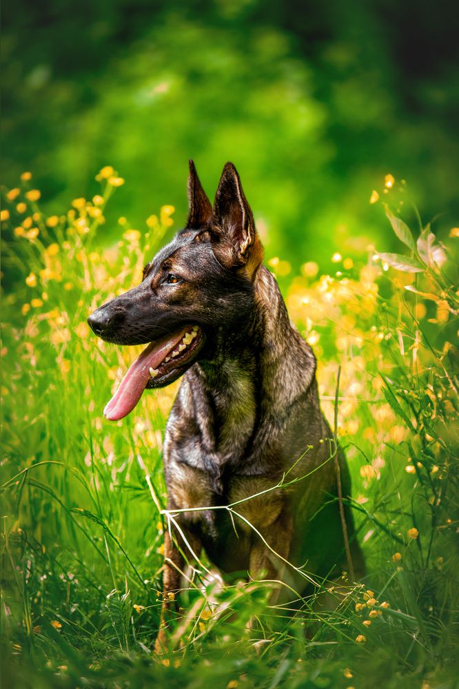 Photograph by Марина Соловьева