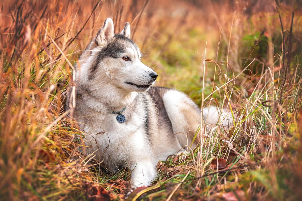 Photograph by Марина Соловьева
