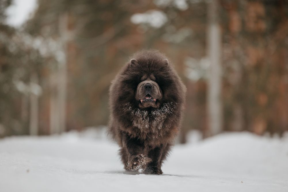 Photograph by Светлана Степашина