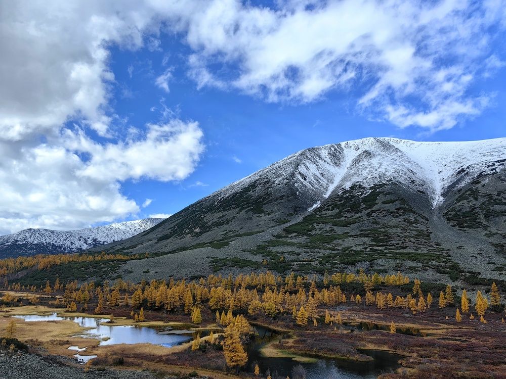 Photograph by Анастасия Зайцева