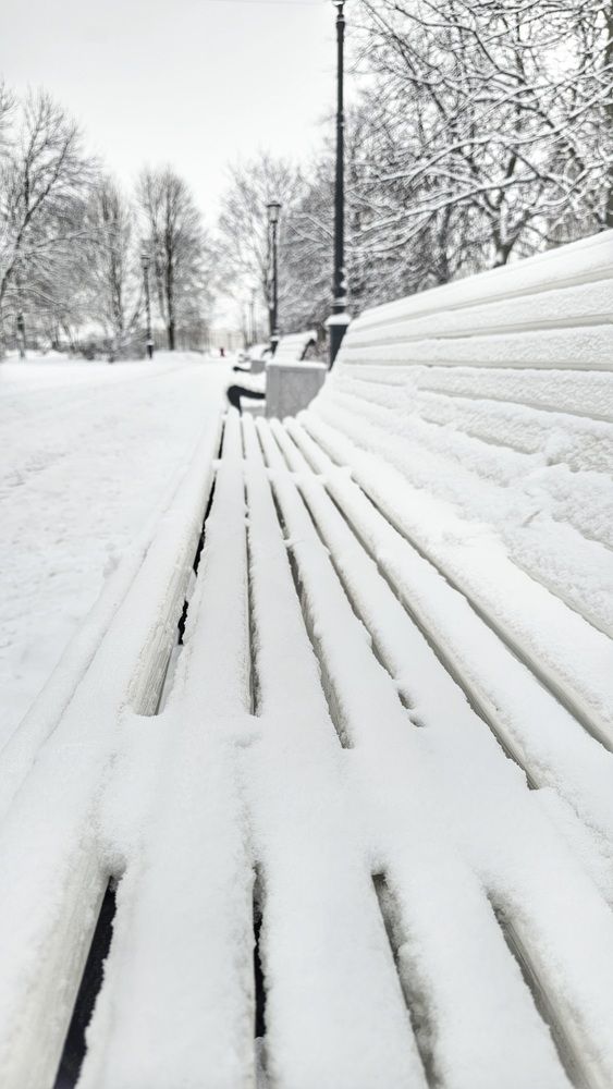 Фотография автора Наталья Законова