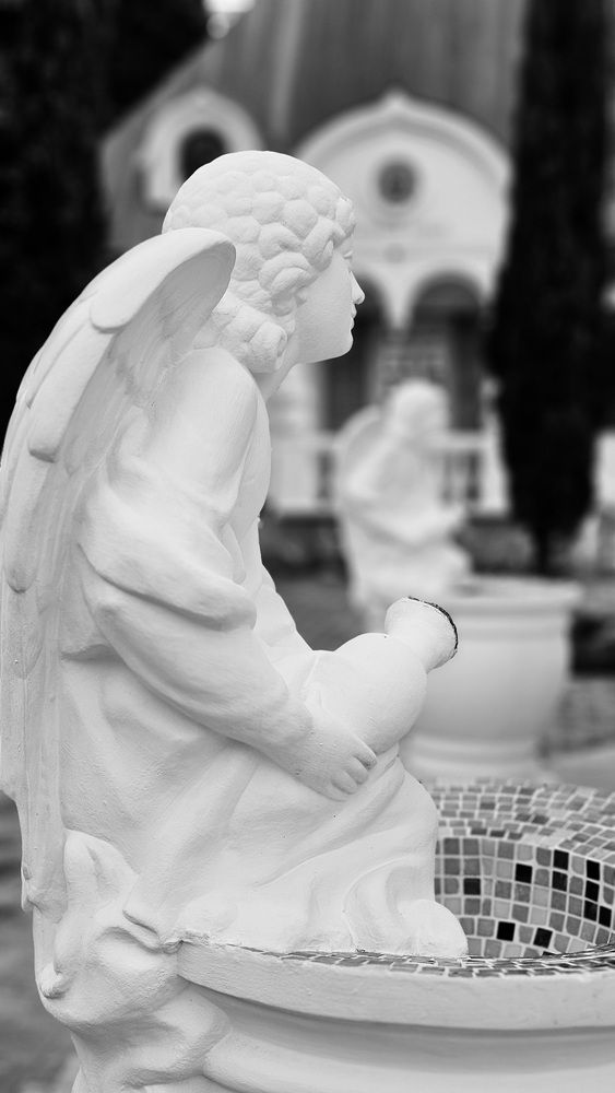 Фотография автора Наталья Законова