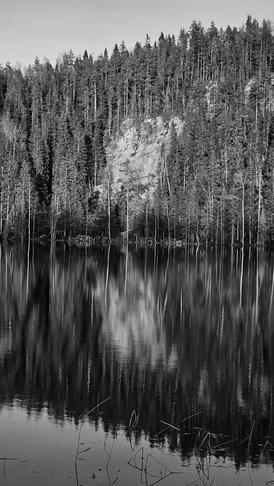 Фотография автора Наталья Законова