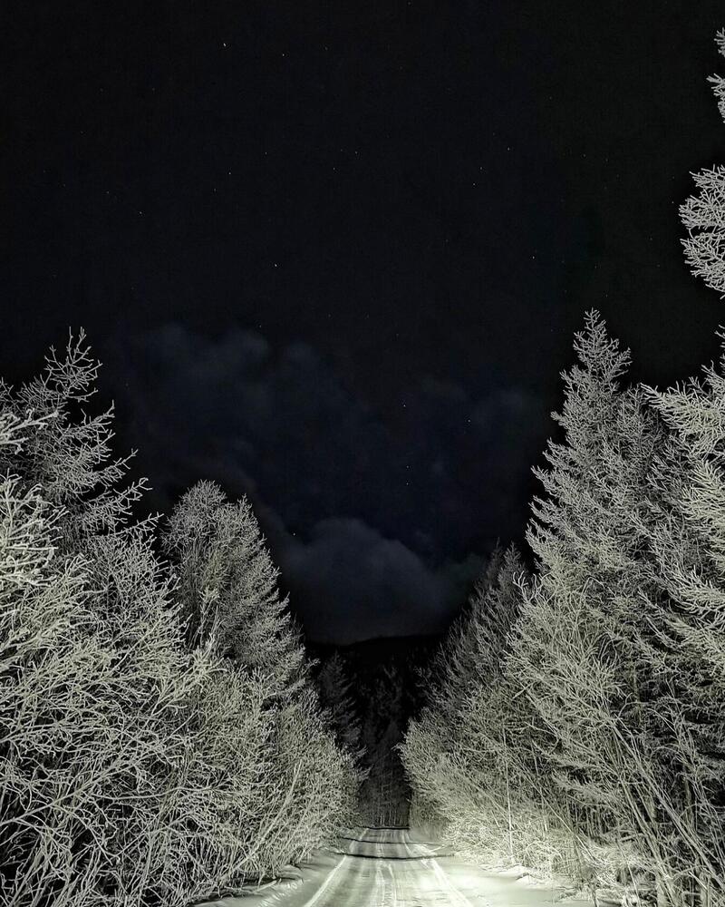 Photograph by Анастасия Зайцева