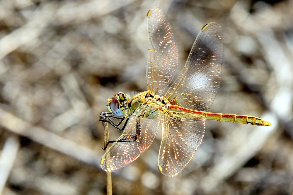 Photograph by Лариса Левченко