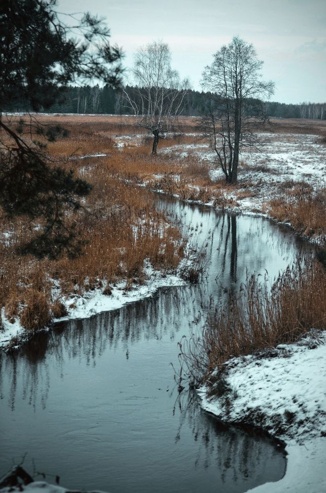 Photograph by Вероника Матиевская