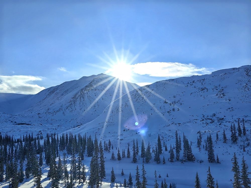 Photograph by Анастасия Зайцева