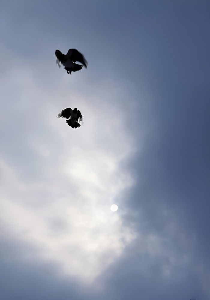 Небо стало выше