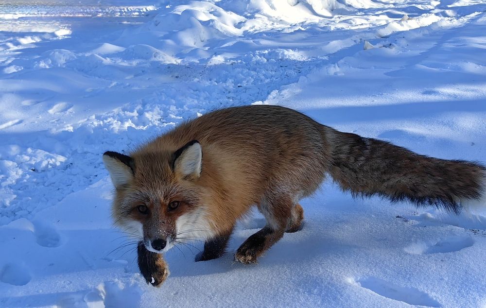 Photograph by Анастасия Зайцева