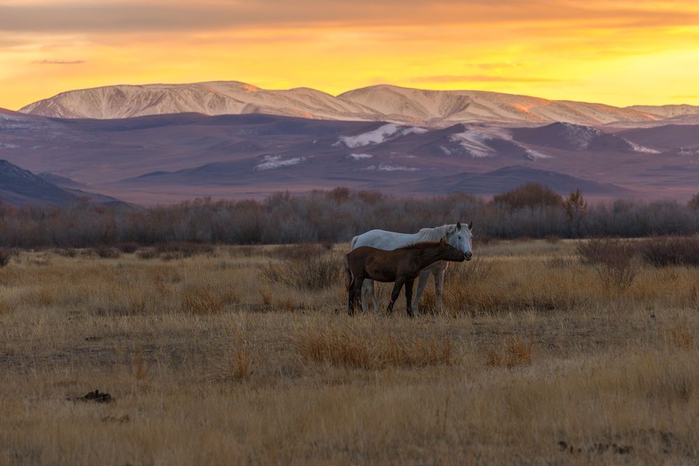 Photograph by Ирина Кудрина
