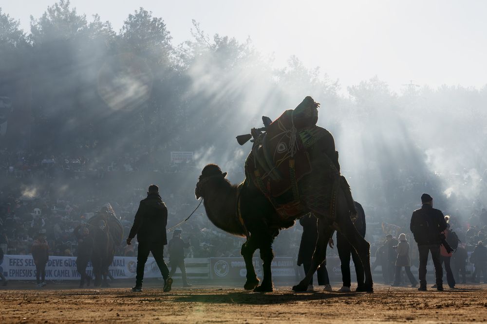 Photograph by Orhan Olmez