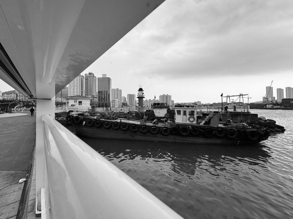 Photograph by Maxim Voronov