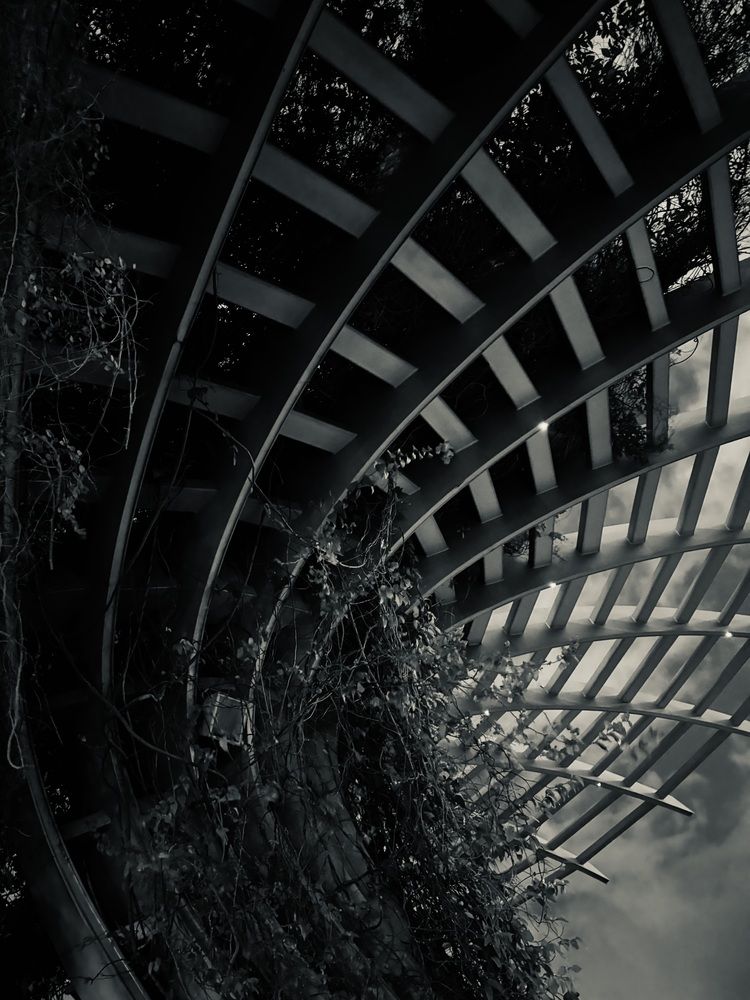 Photograph by Maxim Voronov